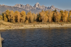 OLYMPUS IMAGING CORP.