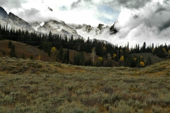 OLYMPUS IMAGING CORP.