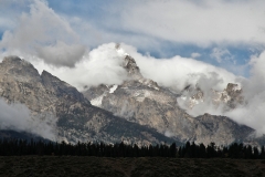 OLYMPUS IMAGING CORP.