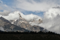 OLYMPUS IMAGING CORP.