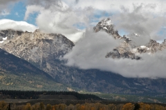 OLYMPUS IMAGING CORP.