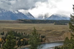 OLYMPUS IMAGING CORP.