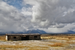 OLYMPUS IMAGING CORP.