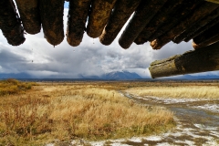 OLYMPUS IMAGING CORP.