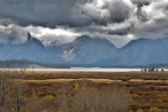 OLYMPUS IMAGING CORP.