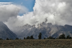 OLYMPUS IMAGING CORP.