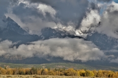 OLYMPUS IMAGING CORP.