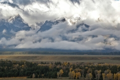 OLYMPUS IMAGING CORP.