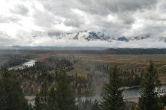 OLYMPUS IMAGING CORP.