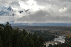 OLYMPUS IMAGING CORP.