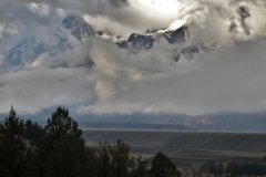 OLYMPUS IMAGING CORP.