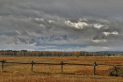 OLYMPUS IMAGING CORP.