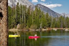 OLYMPUS IMAGING CORP.