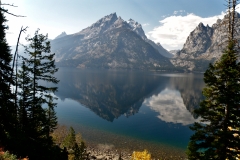 OLYMPUS IMAGING CORP.