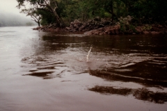 Rio_Paragua_Payara_Fishing_15