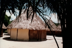 Uriama_Payara_Fishing_Camp_Churuatas_1