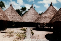 Uriama_Payara_Fishing_Camp_Churuatas_3