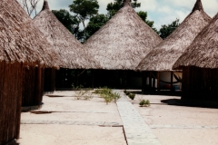 Uriama_Payara_Fishing_Camp_Churuatas_5
