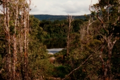 Uriama_Payara_Fishing_Camp_Falls_Behind_Camp_3
