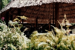 Uriama_Payara_Fishing_Camp_Guides_Churuata