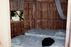 Uriama_Payara_Fishing_Camp_Room