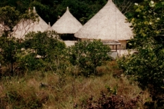 Uriama_Payara_Fishing_Camp_Trail_From_Landing_Strip_2