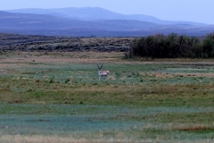 FZ2500-Walden-CO-08-21-2021-P1080459