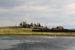 Pelicans-FZ2500-Walden-CO-08-21-2021-P1080469