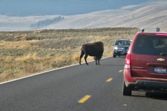 Yellowstone National Park