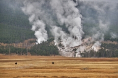 Yellowstone National Park