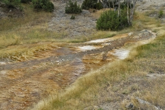 Yellowstone National Park