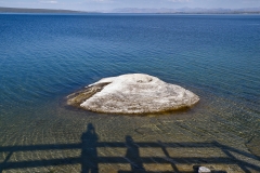 OLYMPUS IMAGING CORP.