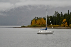 OLYMPUS IMAGING CORP.