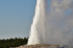 OLYMPUS IMAGING CORP.