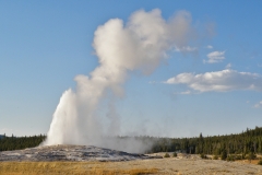 OLYMPUS IMAGING CORP.