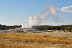 OLYMPUS IMAGING CORP.