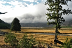 Yellowstone National Park