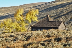 Yellowstone National Park