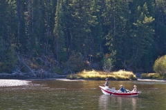 OLYMPUS IMAGING CORP.