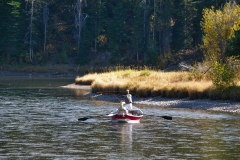 OLYMPUS IMAGING CORP.