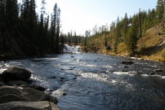 OLYMPUS IMAGING CORP.