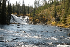 OLYMPUS IMAGING CORP.