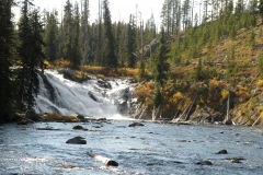 OLYMPUS IMAGING CORP.