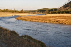 OLYMPUS IMAGING CORP.