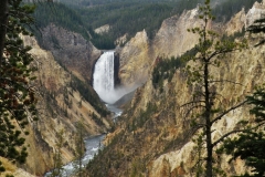 Yellowstone National Park