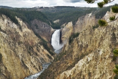 Yellowstone National Park