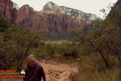 Emerald-Pools-Trail-Zion-Paulette-Pocket2-12-07-2021