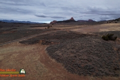 Kolob-Terrace-Mule-Deer-Air-2S-12-07-2021-mpv-shot0005
