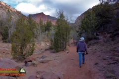 Taylor-Creek-Trail-Kolob-Canyons-Zion-National-Park-Pocket2-Paulette-12-10-2021-mpv-shot0003