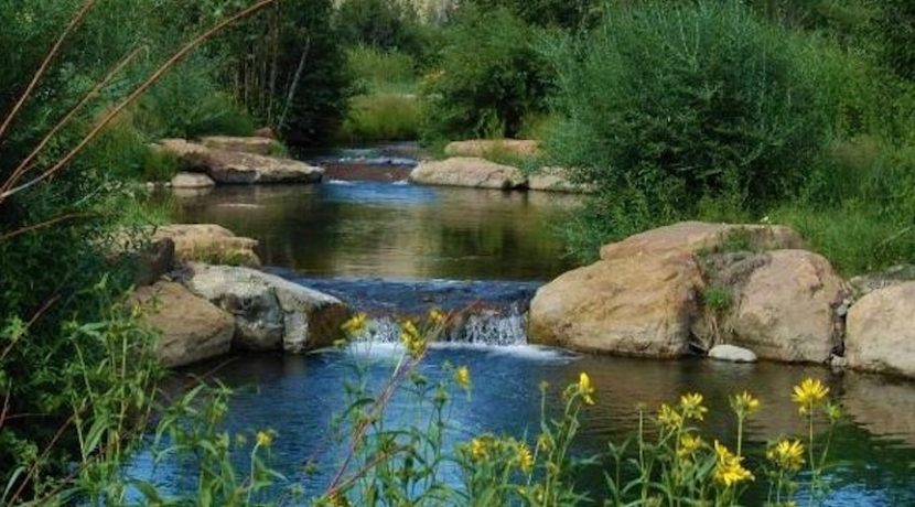 Cow Creek Fly Fishing